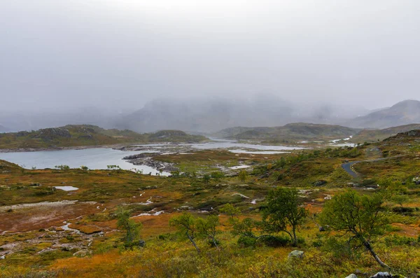 Jezera, louky a zasněžené hory norského Vysočina v hardangerviddě v létě — Stock fotografie