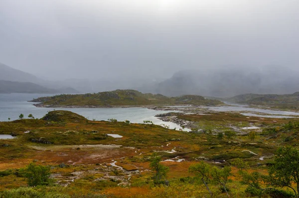 Jezera, louky a zasněžené hory norského Vysočina v hardangerviddě v létě — Stock fotografie