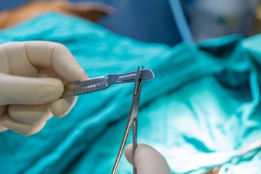 Neşter bıçağı yerleştiren veteriner