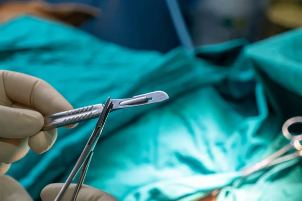 Veterinarian placing a scalpel blade