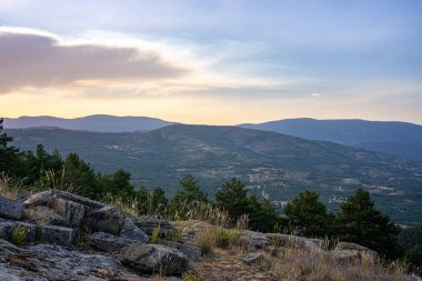 Dağ ve çam ağacı ormanı manzarası