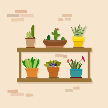 Vektör. Raflarda kapalı bitkiler in seti. Çeşitli çiçekler, beyaz izole tencere bitkiler. Çiçekçi afiş, afiş, baskılar için harika. Tasarım için elemanları seti düz, ofis, ev iç.