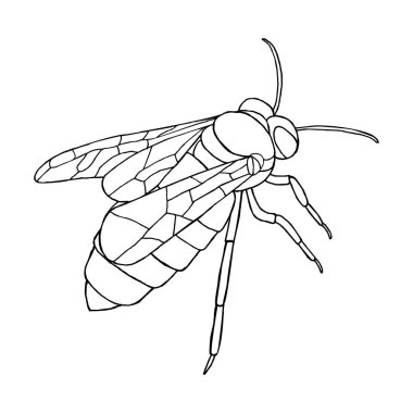 Beyaz arka planda vektör bal arı simgesi. 