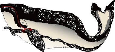 Ukiyo-e Balina 1