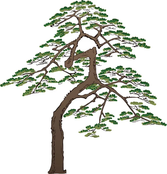 Ukiyo-e Pine 6 — Stock Vector