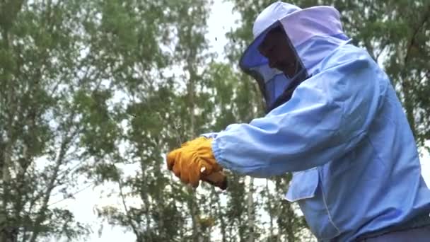 As abelhas voam. Um homem recebe mel de um apiário no verão . — Vídeo de Stock