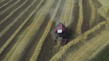 İnsansız hava aracından alınan kırmızı bir hasat aracı tarladan geçiyor. Rusya, Bashkortostan