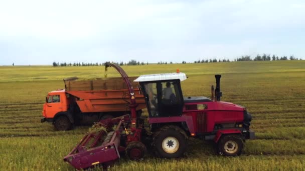 Preso da un drone, un raccoglitore rosso attraversa un campo. Russia, Bashkortostan — Video Stock