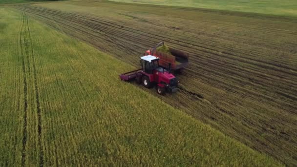 Tiré d'un drone moissonneuse rouge recueille des betteraves. Russie, Bachkortostan — Video