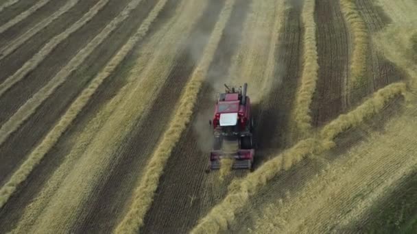 Tirado de um drone, uma colheitadeira vermelha atravessa um campo. Rússia, Bashkortostan — Vídeo de Stock