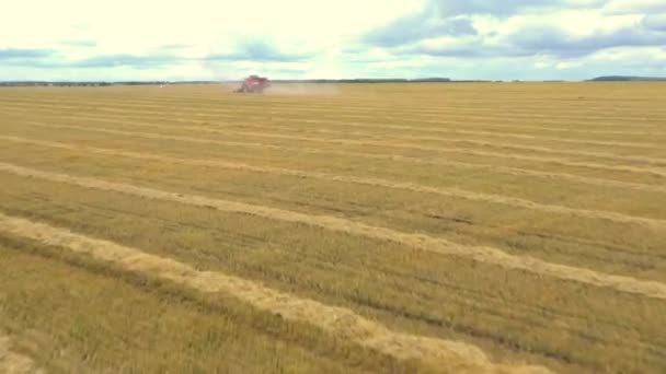 Tomado de un dron, una cosechadora roja conduce a través de un campo. Rusia, Bashkortostán — Vídeos de Stock