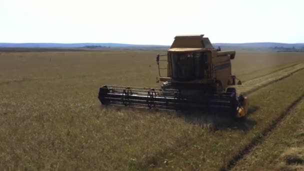 Tiré d'un drone, une moissonneuse-batteuse rouge traverse un champ. Russie, Bachkortostan — Video