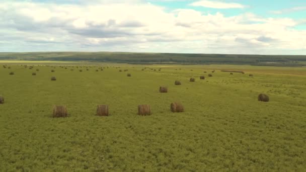 Tomado de un dron, una cosechadora roja conduce a través de un campo. Rusia, Bashkortostán — Vídeos de Stock