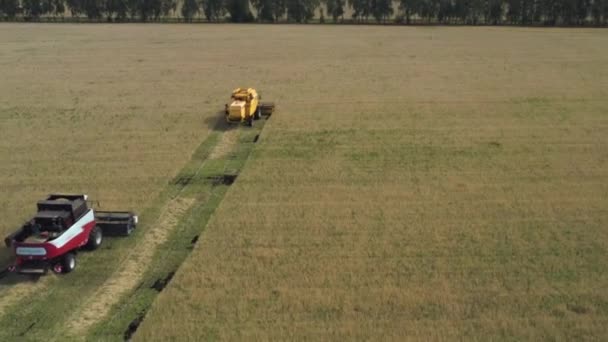 Afgenomen van een drone, rijdt een rode oogstmachine door een veld. Rusland, Bashkortostan — Stockvideo