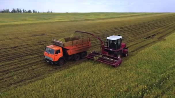 İHA 'dan alınan kırmızı hasat pancar topluyor. Rusya, Bashkortostan — Stok video