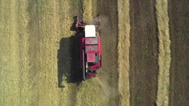 Von einer Drohne aufgenommen, fährt ein roter Erntewagen durch ein Feld. Russland, Baschkortostan — Stockvideo