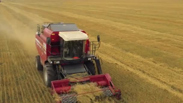 İnsansız hava aracından alınan kırmızı bir hasat aracı tarladan geçiyor. Rusya, Bashkortostan — Stok video