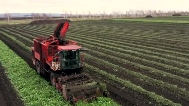 Afgeleid van een drone verzamelt een rode oogstmachine bieten. Rusland, Bashkortostan — Stockvideo
