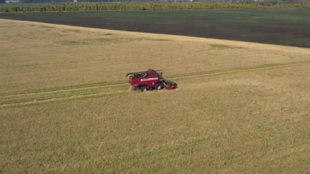 Tirado de um drone, uma colheitadeira vermelha atravessa um campo. Rússia, Bashkortostan — Vídeo de Stock