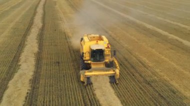 İnsansız hava aracından alınan kırmızı bir hasat aracı tarladan geçiyor. Rusya, Bashkortostan