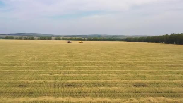 Preso da un drone, un raccoglitore rosso attraversa un campo. Russia, Bashkortostan — Video Stock