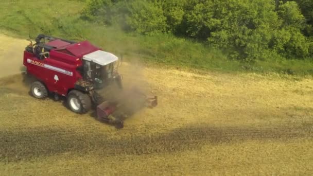 Tomado de un dron, una cosechadora roja conduce a través de un campo. Rusia, Bashkortostán — Vídeos de Stock