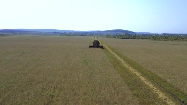 Tiré d'un drone, une moissonneuse-batteuse rouge traverse un champ. Russie, Bachkortostan 