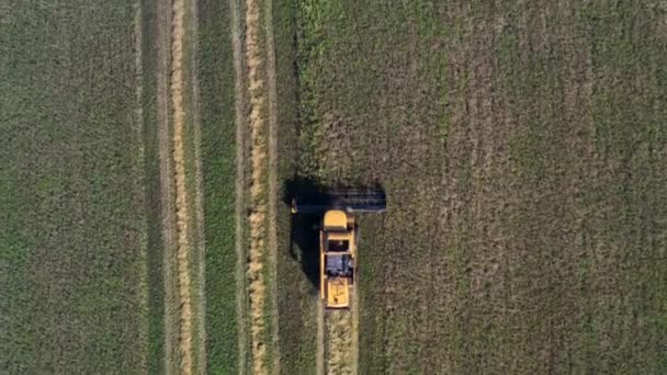 Tirado de um drone, uma colheitadeira vermelha atravessa um campo. Rússia, Bashkortostan — Vídeo de Stock