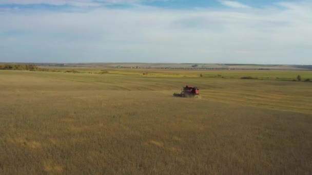 Tirado de um drone, uma colheitadeira vermelha atravessa um campo. Rússia, Bashkortostan — Vídeo de Stock
