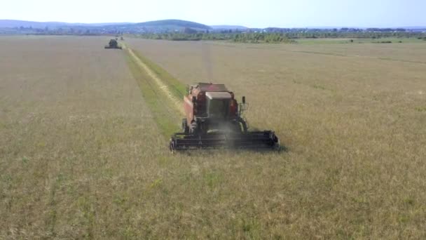 Vzali ho dronovi a červený kombajn projíždí polem. Rusko, Baškortostán — Stock video