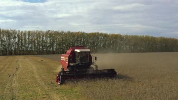 Preso da un drone, un raccoglitore rosso attraversa un campo. Russia, Bashkortostan — Video Stock