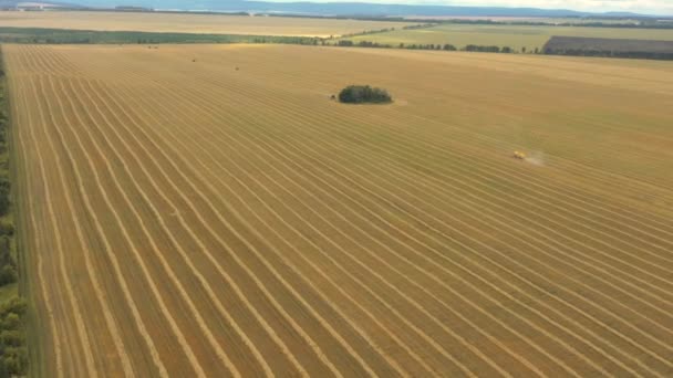 Von einer Drohne aufgenommen, fährt ein roter Erntewagen durch ein Feld. Russland, Baschkortostan — Stockvideo