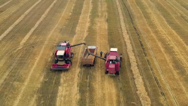 Tirado de um drone, uma colheitadeira vermelha atravessa um campo. Rússia, Bashkortostan — Vídeo de Stock