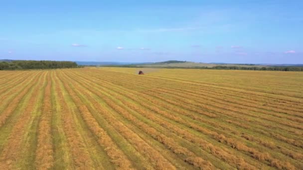 Tirado de um drone branco combina um após o outro atravessar o campo . — Vídeo de Stock