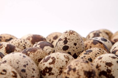 bıldırcın yumurtası