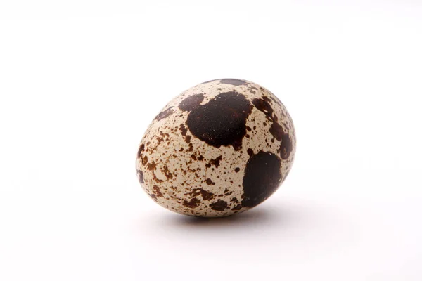 Quail egg — Stock Photo, Image