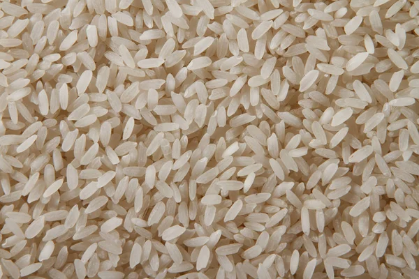 Heap of raw rice