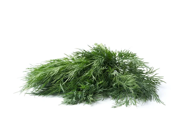 Beyaz arka planda bir sürü taze dereotu izole edilmiş.