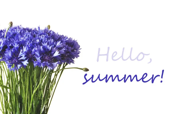 Blaue Kornblumen isoliert auf weißem Hintergrund. Hallo Sommer Schriftzug. — Stockfoto