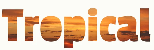 Tropikalny napis. Tropikalny zachód słońca żywy pomarańczowy brązowy i koralowy tło — Zdjęcie stockowe
