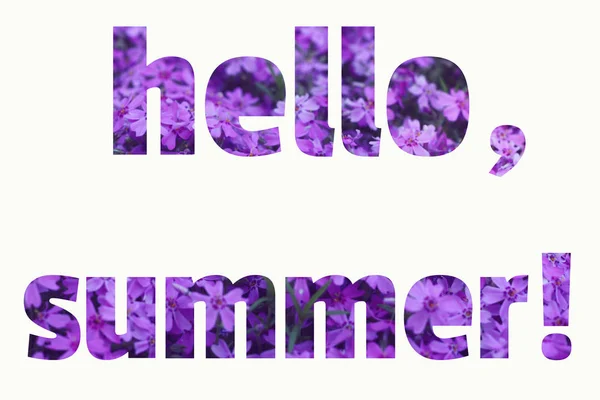 Text hallo Sommer aus lila Sommer Blumen Hintergrund — Stockfoto