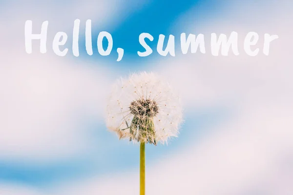 Dandelion flower against blue sky with clouds background. Hello Summer Text. — Stock Photo, Image
