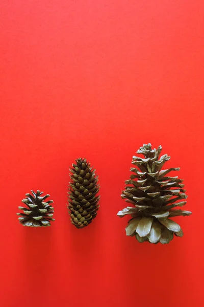 Cones de pinheiro em férias de inverno natal fundo vermelho vívido — Fotografia de Stock