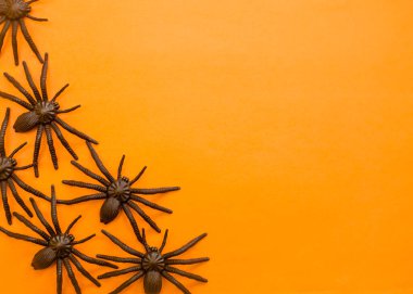 Portakala karşı dekoratif siyah örümceklerle Cadılar Bayramı sonbahar tatili.