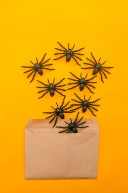 Cadılar Bayramı sonbahar tatili arka planında zarftan portakala doğru koşan dekoratif siyah örümcekler var..