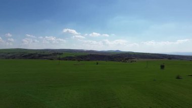 Buğday tarlası ve mavi gökyüzü olan güzel bir manzara.