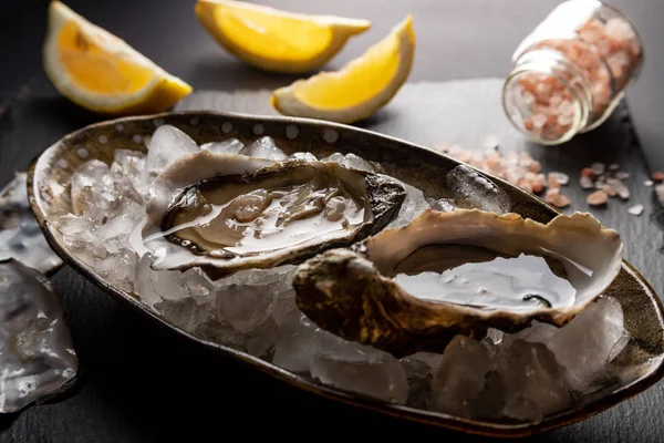 Opened Oysters on plate with lemon and pink salt on dark background. Fresh oysters close-up top view