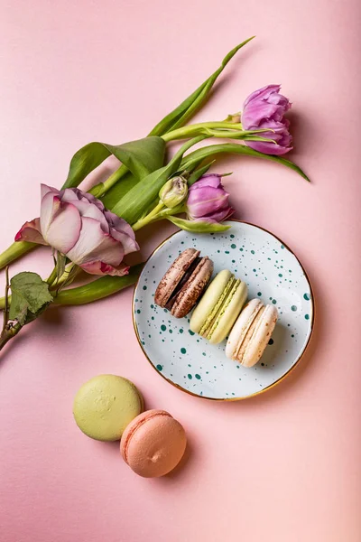 Colorful french macaroons with tulips and rose on pink background