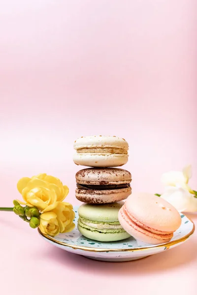 Colorful French Macaroons Freesia Pink Background — Stock Photo, Image