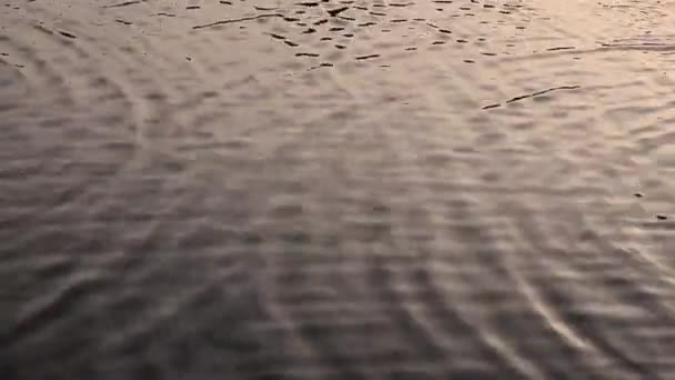 Wasseroberfläche Mit Wellen Der Abendsonne — Stockvideo